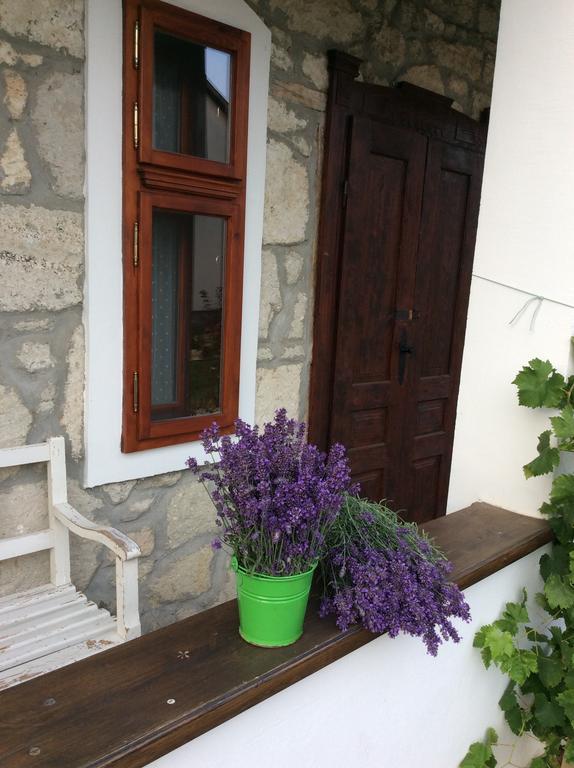 Vitamin B63 Vendeghaz Boldogkovaralja Exterior photo