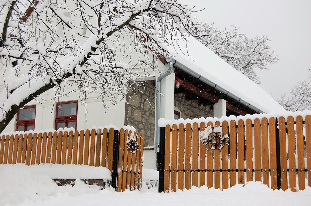Vitamin B63 Vendeghaz Boldogkovaralja Exterior photo
