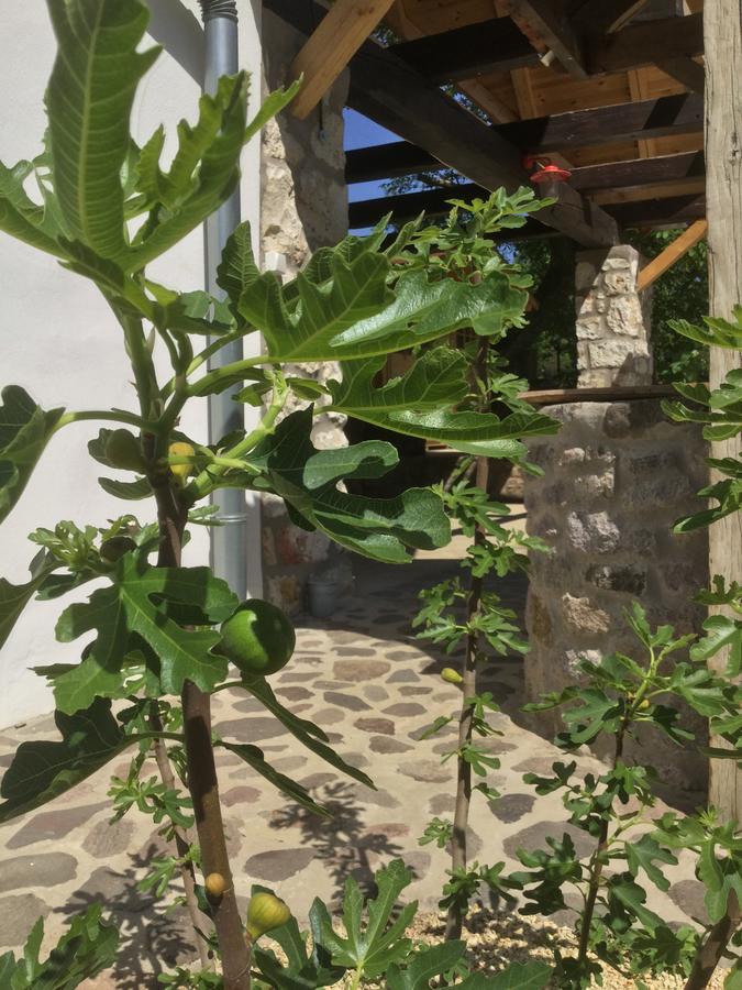 Vitamin B63 Vendeghaz Boldogkovaralja Exterior photo
